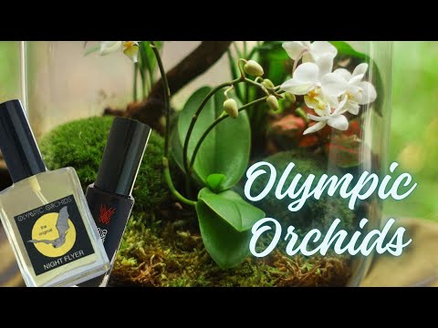 Видео: Лучшее из американской ниши 🇺🇸 Оцениваем ароматы Olympic Orchids