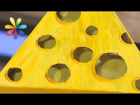 Видео: Интерактивные игрушки для гиперактивного кота – Все буде добре. Выпуск 1044 от 29.06.17