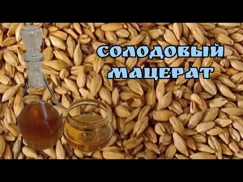 Видео: Солодовый мацерат