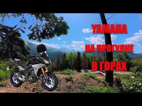 Видео: Yamaha mt09 Tracer покоритель грунтовок (нет) или мастер класс мото-нытика "Я туда не поеду"