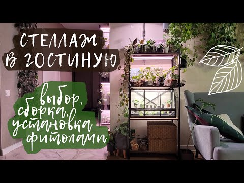 Видео: Стеллаж в гостиную | Выбор, сборка, установка фитоламп