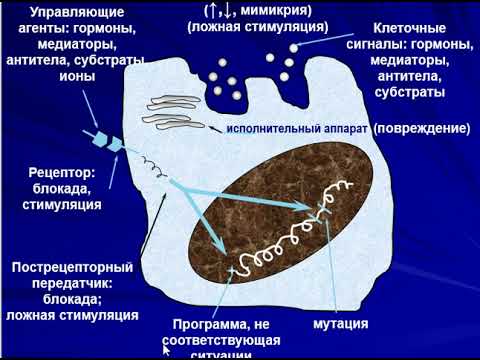 Видео: повреждения клетки