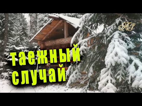 Видео: 🐻/Никак эта костлявая за мной пришла, с тоской подумал Кузьмич,  глядя в окошко/