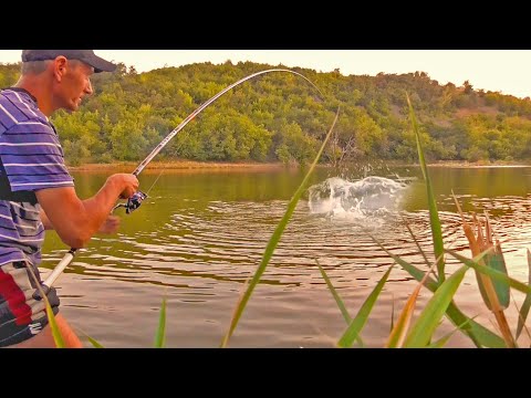 Видео: КРУПНЫЕ РЫБИНЫ НА УДОЧКУ КЛЮЮТ И ЛЕСКУ РВУТ! ПРУД С МОНСТРАМИ! Рыбалка на поплавок на карпа и карася