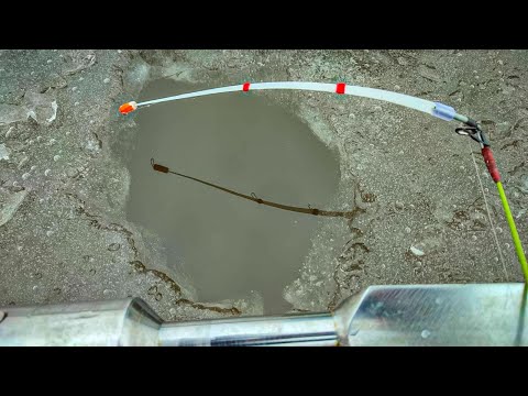 Видео: ВДАЛЕ ЗАКРИТТЯ сезону, Красі з останнього льоду стають в чергу, Зимова рибалка на карася