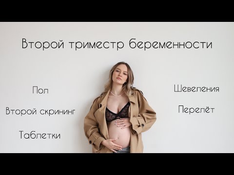 Видео: ВТОРОЙ ТРИМЕСТР БЕРЕМЕННОСТИ | КОГДА МОЖНО УЗНАТЬ ПОЛ? | КОГДА ПЕРВЫЕ ШЕВЕЛЕНИЯ