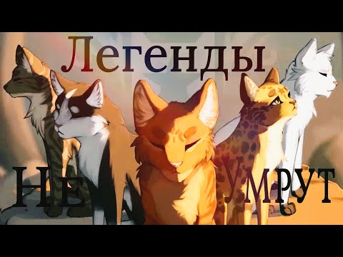 Видео: Коты Воители Легенды не Умрут [Cat & Rus Cover]