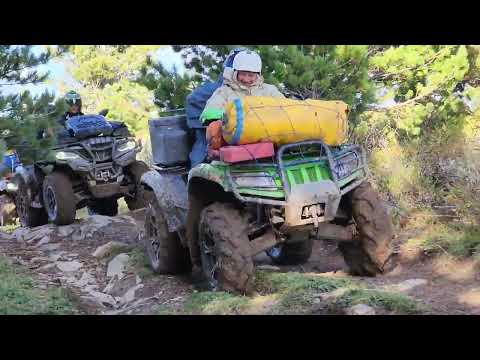 Видео: Путешествие на квадроцикле РМ800 Duo  Республика Алтай , Усть Кокса, сентябрь 2023г