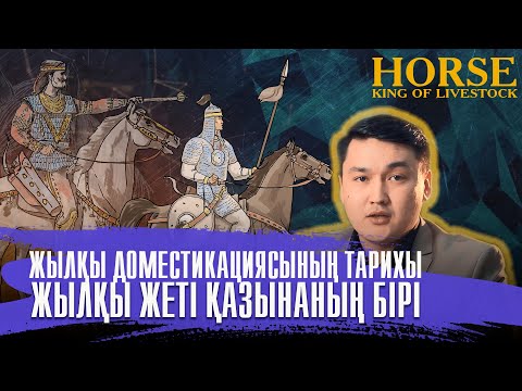 Видео: Жылқының алғаш қолға үйретілген отаны қай жер? «Жылқы – малдың патшасы» 1-серия