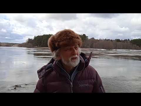 Видео: Решительность одно из главных качеств ума