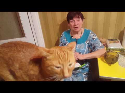 Видео: ПРИЕХАЛА МАМА И ПОШЛО ПОЕХАЛО