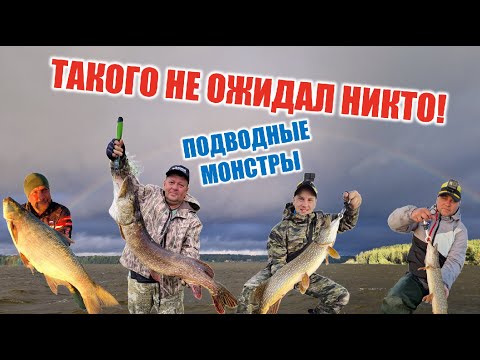 Видео: ЩУКА 10КГ! ТРОФЕЙНАЯ РЫБАЛКА на озере ВСЕЛУГ
