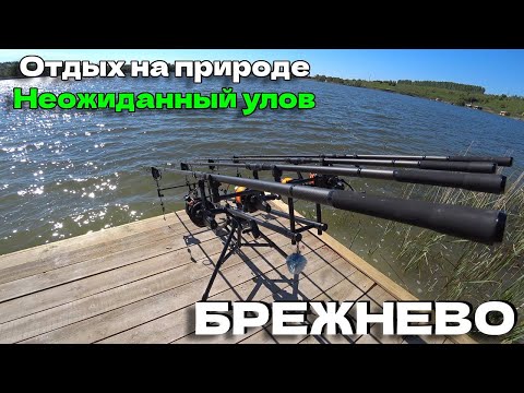 Видео: ТАКОГО УЛОВА Я ТОЧНО НА КАРПОВИК НЕ ОЖИДАЛ