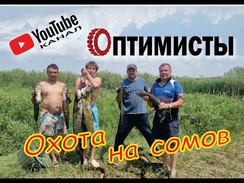 Видео: Охота за большими сомами