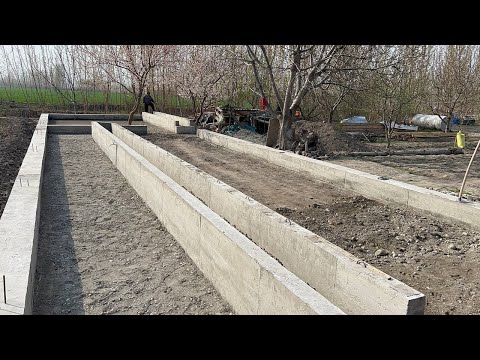 Видео: Молхона соламан деганлар учун зор проект 2023