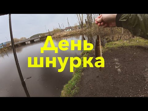 Видео: День шнурка с Duo Tetra 58
