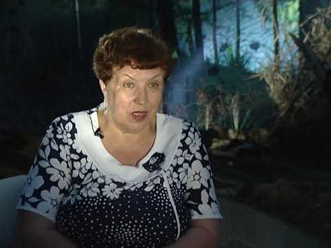 Видео: ХРАНИТЕЛИ ЛЕГЕНД  ЗОЛОТАЯ БАБА