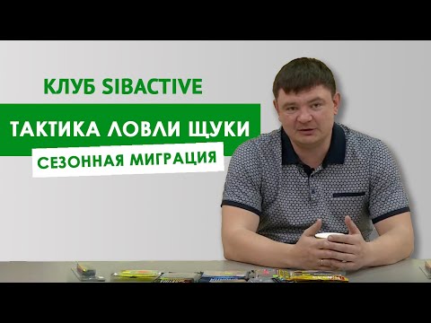 Видео: Тактика ловли: сезонная миграция щуки | Клуб SibActive с Григорием Безменовым