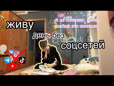 Видео: Боже, что я посмотрела или день без соцсетей 🫣