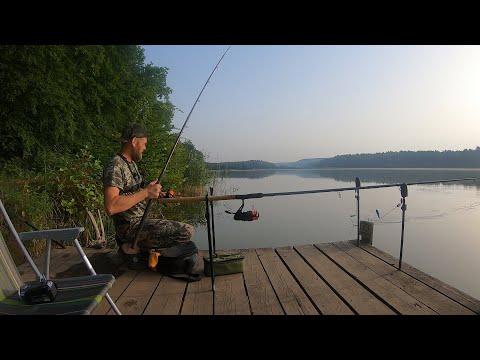 Видео: СЕМЕЙНЫЙ ОТДЫХ С ПАЛАТКАМИ, РЫБАЛКА,мясо на углях,КУПАЕМСЯ и Рыбачим,ДИКАРЯМИ в ПАЛАТКАХ Часть-1