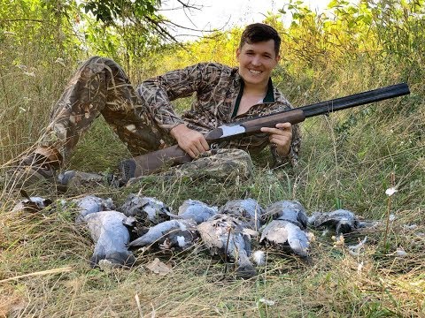 Видео: Охота на голубя "Вяхиря" с чучелами в подсолнухе! 2019