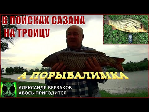 Видео: А порыбалимка 13/21г. В поисках сазана на Троицу.