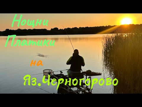 Видео: Риболов на метод фидер!