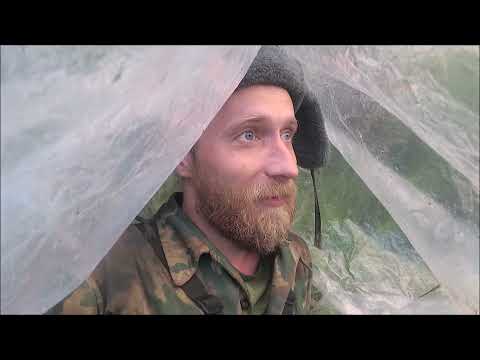 Видео: Карелия, одиночный поход в тайгу и рыбалка на спиннинг
