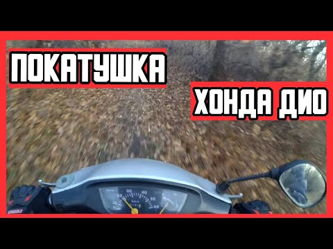 Видео: ПОКАТУШКА НА ХОНДА ДИО 34 ПО ЛЕСУ! Оффроуд на скутере от первого лиц
