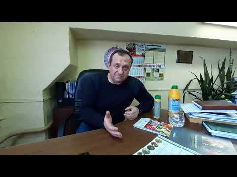 Видео: Ранневесенняя обработка сада и чем не следует пользоваться. Днок, Нитрофен, Карбамид.(часть 2)