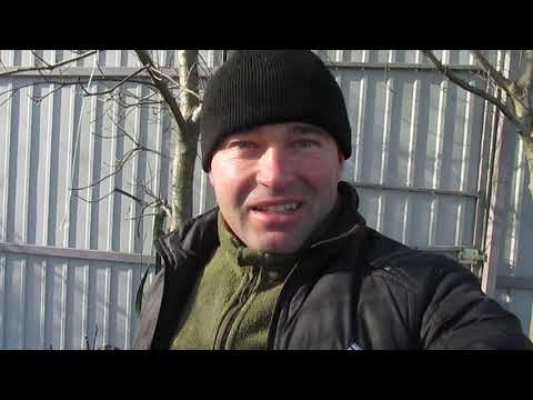 Видео: КОГДА ЛУЧШЕ СДЕЛАТЬ КЕРБОВКУ.  Что такое КЕРБОВКА.