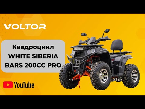 Видео: Бензиновый квадроцикл WHITE SIBERIA BARS 200CC PRO