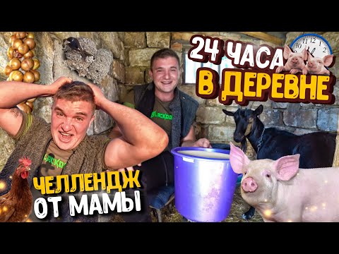 Видео: 24 ЧАСА В ДЕРЕВНЕ (СЕЛЕ)! ВПЕРВЫЕ ДОИЛ КОЗУ! ЧЕЛЛЕНДЖ ОТ МАМЫ!