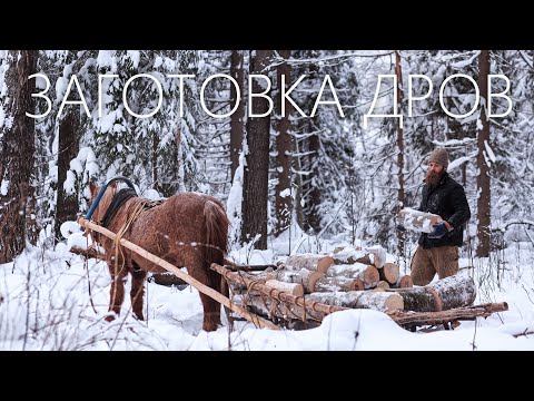 Видео: ЗАГОТОВКА ДРОВ НА ЛОШАДИ