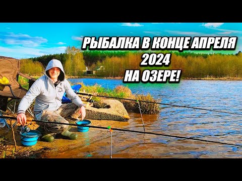 Видео: РЫБАЛКА В КОНЦЕ АПРЕЛЯ 2024! ГУСТЕРА АТАКУЕТ!