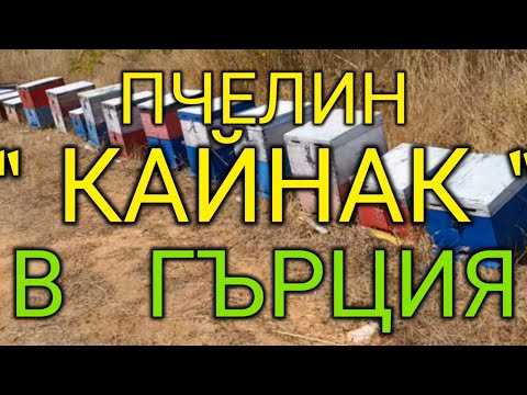 Видео: ГЪРЦИТЕ СА ГО ИЗМИСЛИЛИ 07.09.25г.