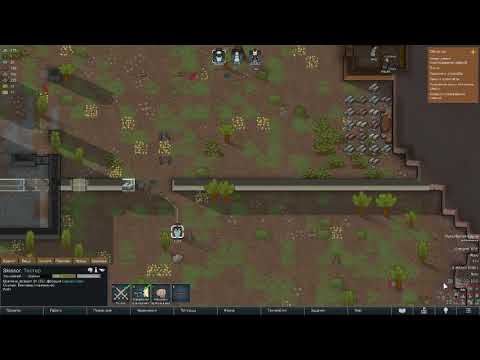 Видео: Поселение Серый Совет растёт! Новый колонист RimWorld