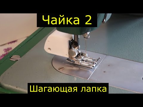 Видео: Чайка 2 Шагающая лапка