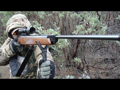 Видео: Пневматика для выживания ?