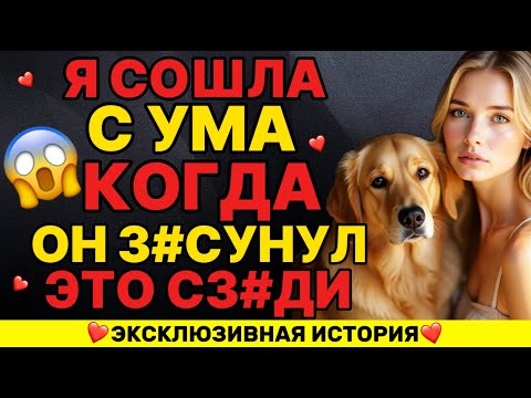 Видео: Моя собака вдруг сделала это со мной посреди ночи