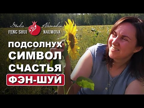 Видео: Подсолнух по Фен-Шуй символ счастья и достатка
