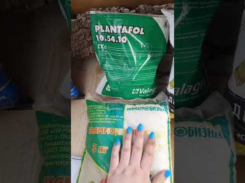 Видео: Недостаток элементов питания у роз