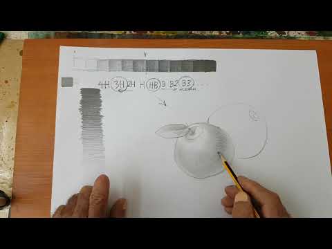 Видео: Урок 41