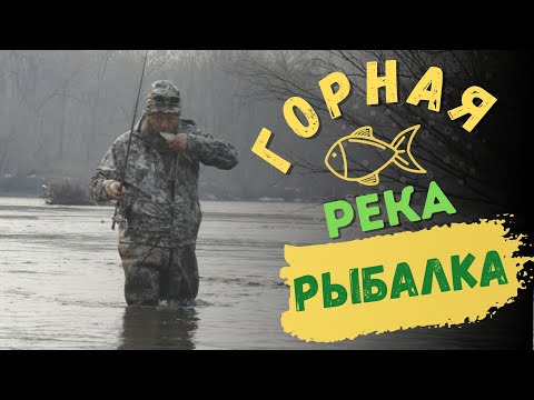Видео: ЛЕНОК и ХАРИУС на горной реке! Встреча с другими рыбаками и байки за столом!