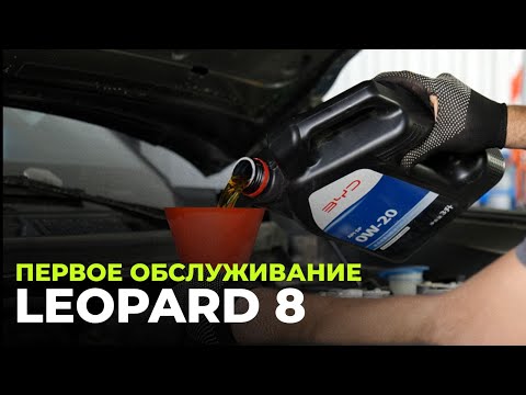 Видео: Leopard 8 первая замена масла и фильтров