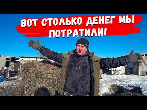 Видео: Расходы нас удивили. Первый месяц с газом. Боська загулял. Стерилизовали кошку. Жизнь в деревне.
