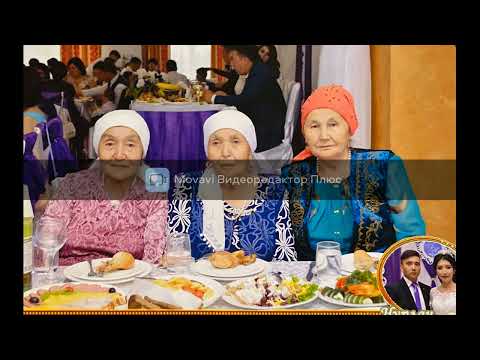 Видео: апа