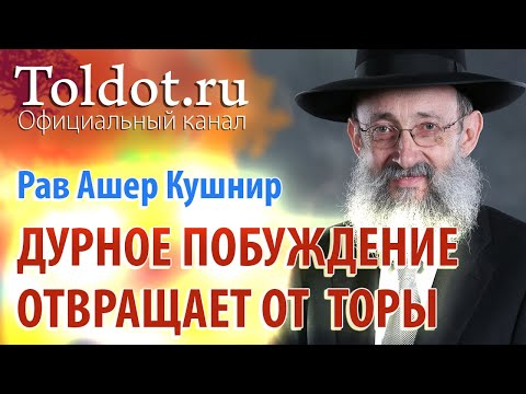 Видео: Рав Ашер Кушнир. Дурное побуждение отвращает от учёбы Торы. Обязанности сердец 103