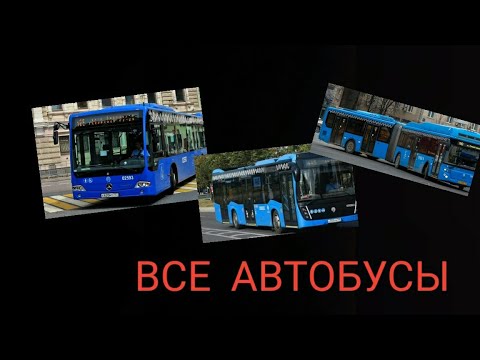 Видео: ПРОЕХАЛ НА ВСЕХ АВТОБУСАХ МОСКВЫ, корме маз-203