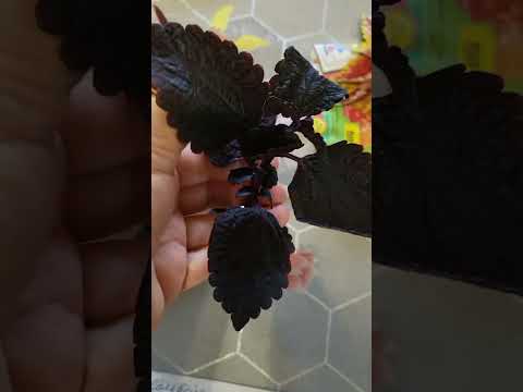 Видео: Получила посылку с новинками!